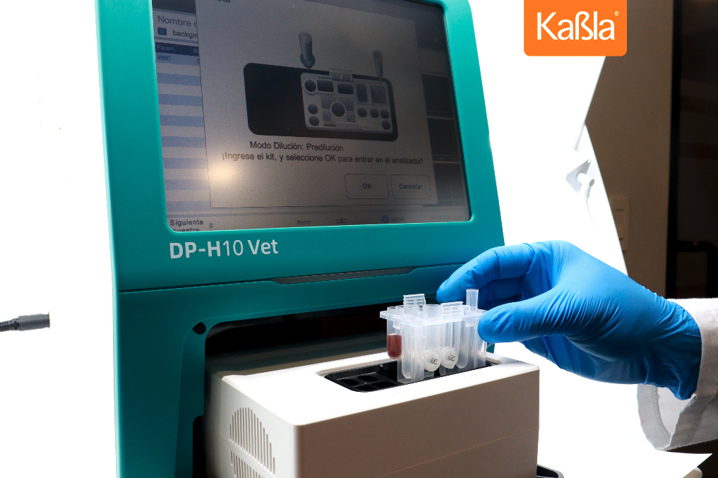 Analizador - hematologia - kabla - veterinaria - dymind - dp-h10 - vet - 01