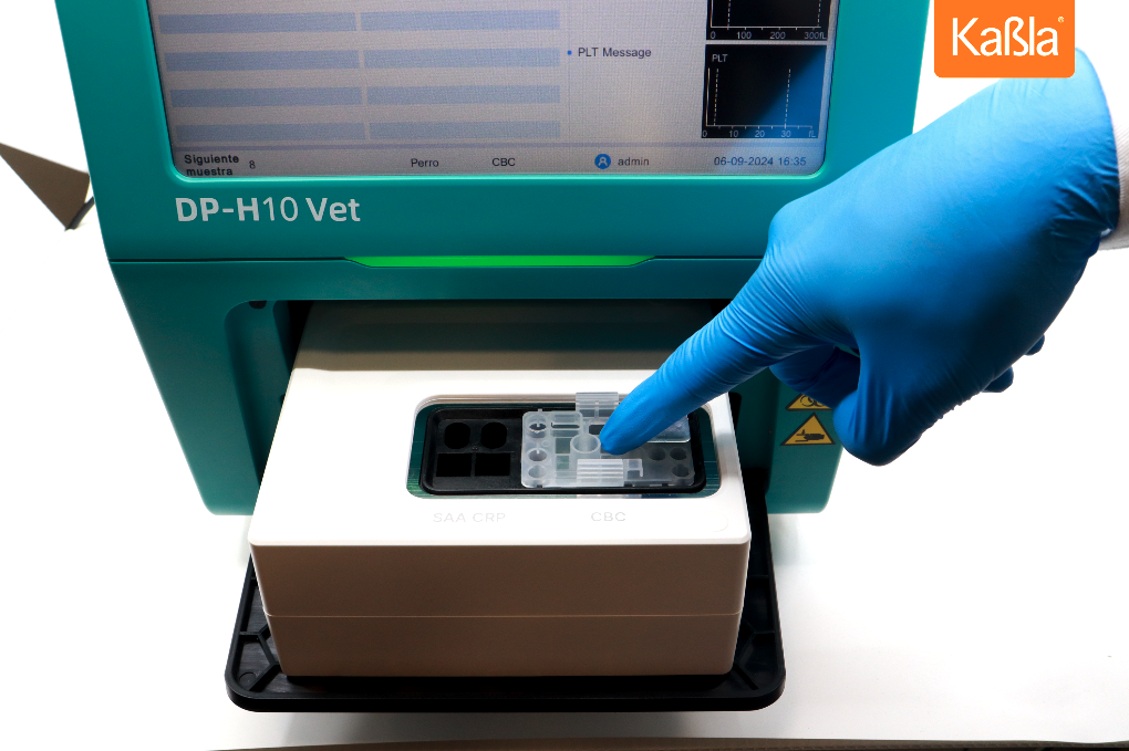 Analizador - hematologia - kabla - veterinaria - dymind - dp-h10 - vet - 04