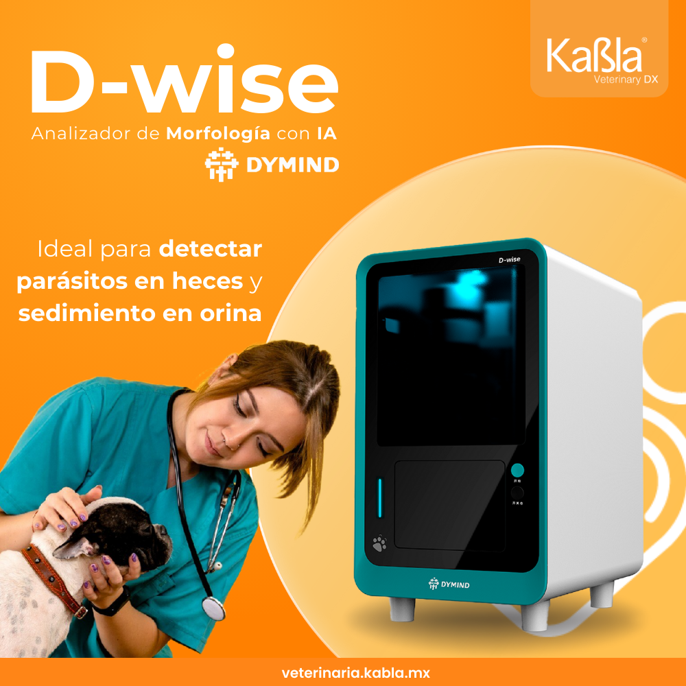 D-wise-Kabla-Vet-C
