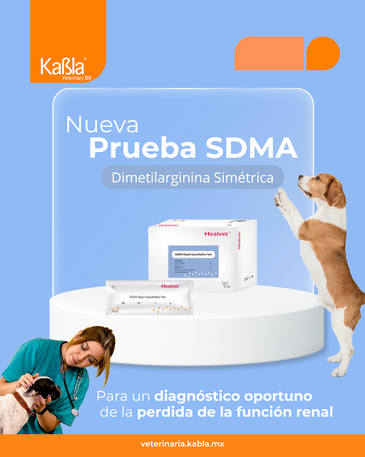 prueba-sdma-dimetilarginina-simetrica-perdida-funcion-renal prueba-sdma-dimetilarginina-simetrica-perdida-funcion-renal