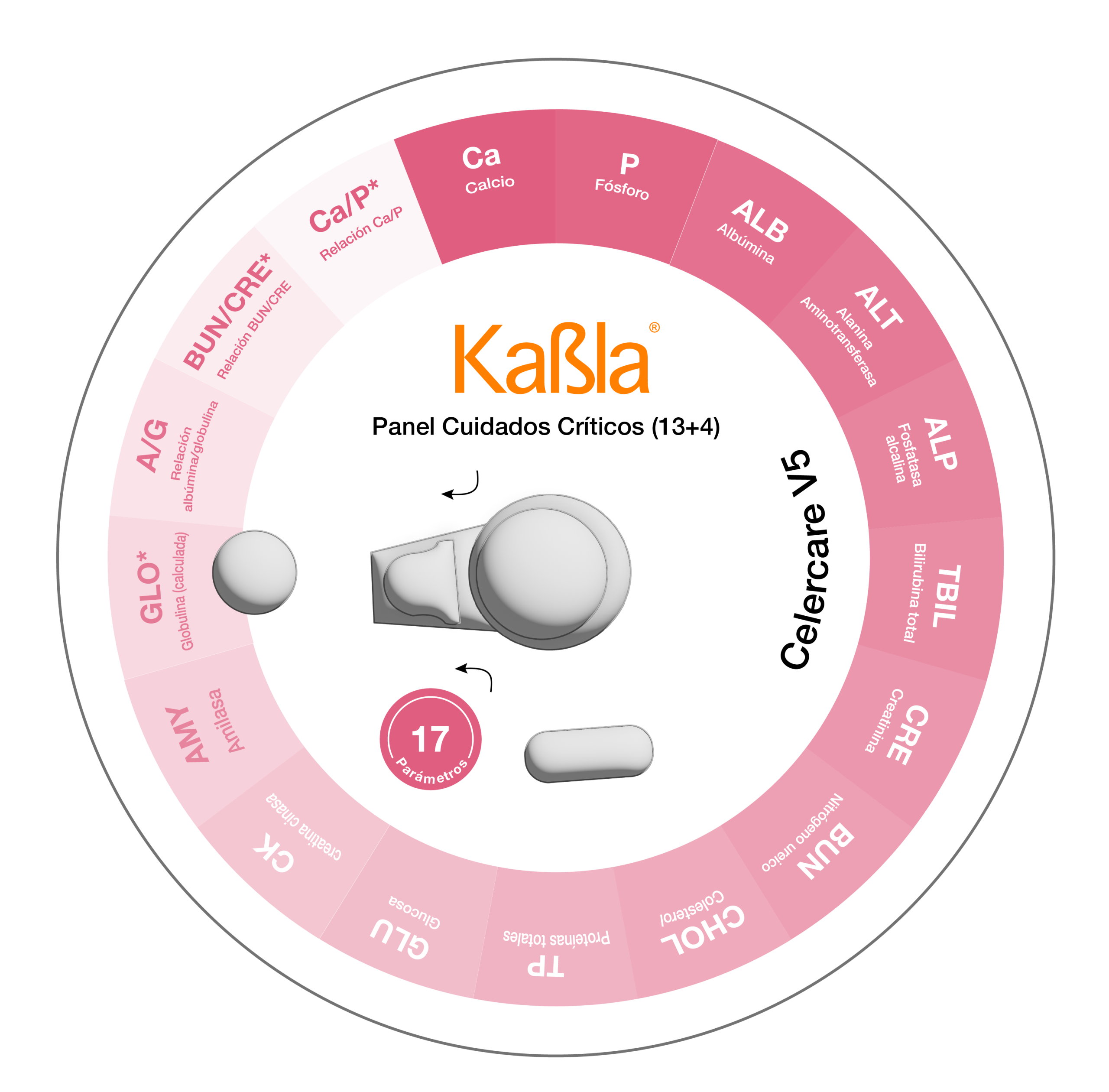 Disco-Cuidados-Críticos-(13+4)-celercare-kabla Disco-Cuidados-Críticos-(13+4)-celercare-kabla
