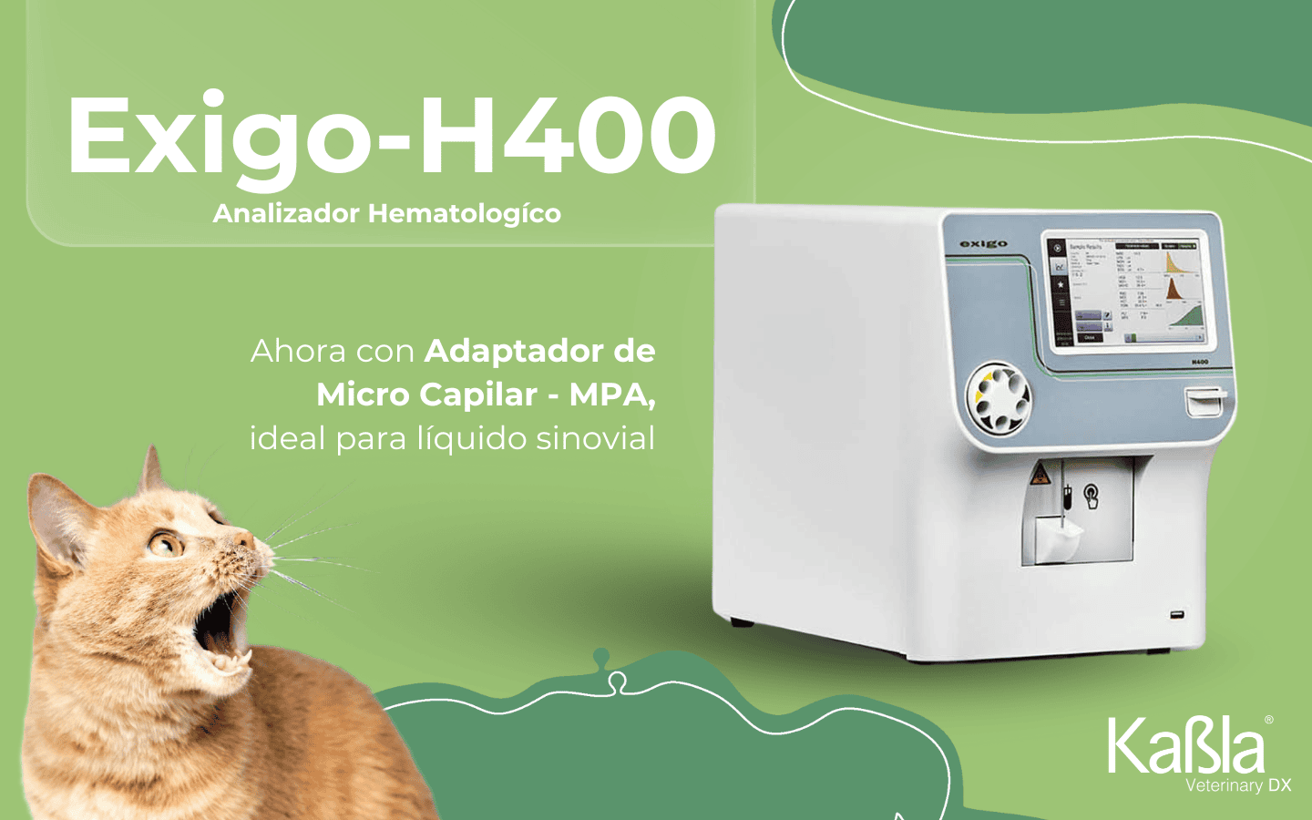 diagnostico-veterinario-landing-exigo-h400