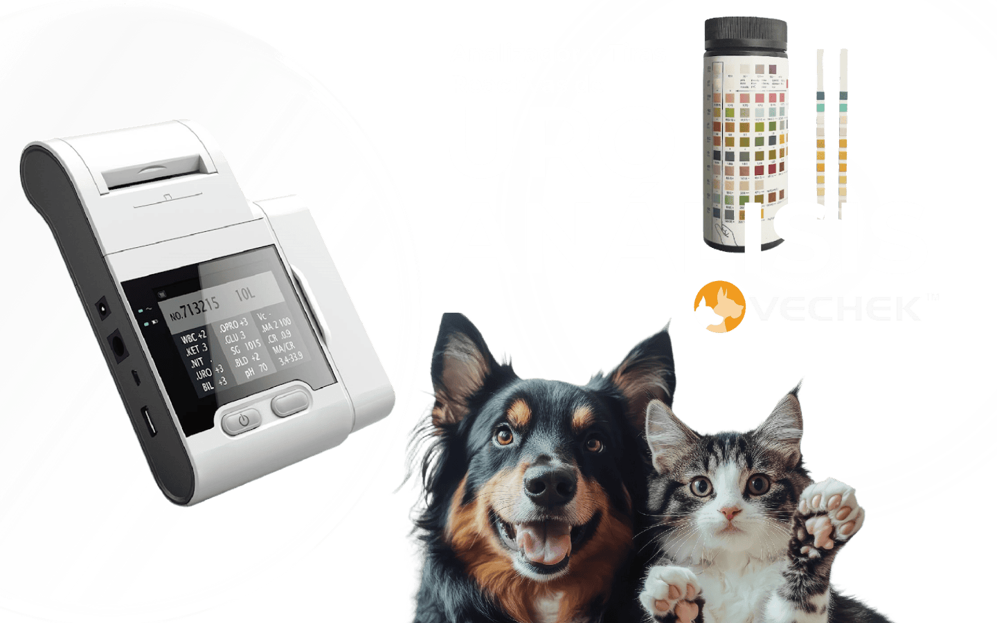 diagnostico-veterinario-landing-uroanalisis-vechek diagnostico-veterinario-landing-uroanalisis-vechek