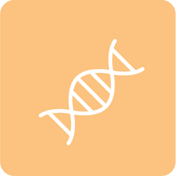 molecular-ngs-349x349-snf-cdd molecular-ngs-349x349-snf-cdd