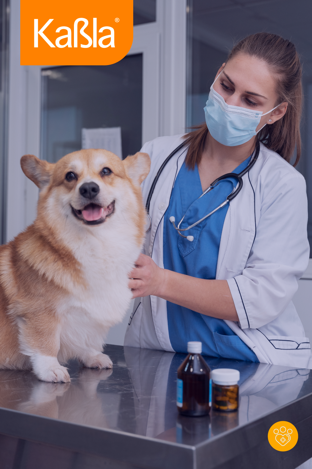 kabla-veterinaria-paso-galerias-2